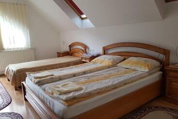 Pensiunea Lőrincz Panzió