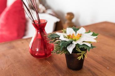 Resort Bliss Bay Nilaveli