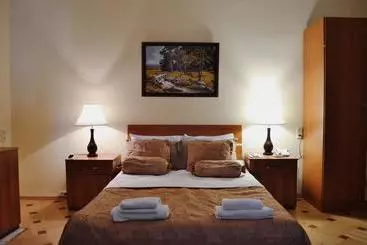 Hotel Arta