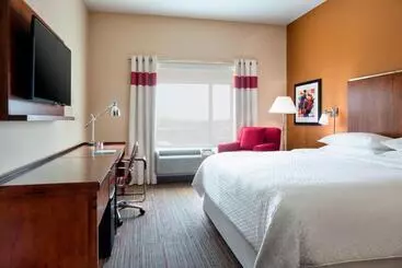 Hotel Four Points By Sheraton Dallas Fort Worth Airport North