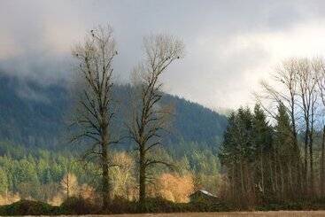 Otel Harrison Hammond House Farmstay