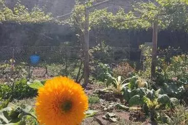 Pensão Un Jardin Al Mar