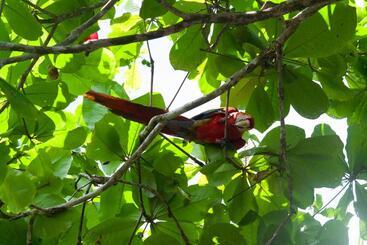 ユースホステル Habitación Compartida Con Tres Comidas Incluidas Y Dos Horas De Electricidad Diarias