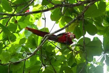 ユースホステル Habitación Compartida Con Tres Comidas Incluidas Y Dos Horas De Electricidad Diarias