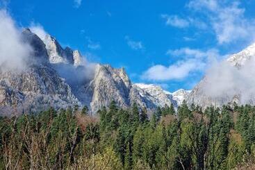 פנסיון Vila Roxana Busteni