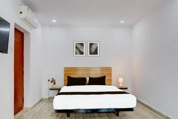 Super Hotel O Living Tree In