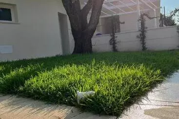 Aamiaismajoitus (B&B) Luna D Argento