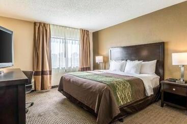 ホテル Comfort Inn Downtown