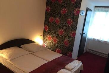 Pensiunea Anca Sibiel