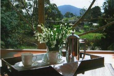 Bed and Breakfast Hollyhock