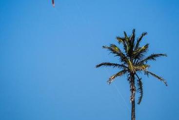 הוסטל Freedom Kite House