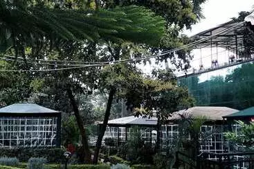 Bed and Breakfast Whitestar