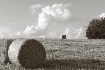 Hotel Seegasthof Franz Bolz Gbr