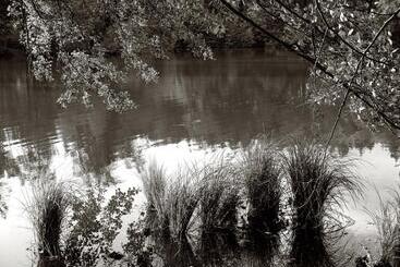 Hotel Seegasthof Franz Bolz Gbr