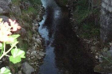 호텔 Albergo Il Giardino Del Rio