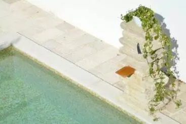 Percebes Exclusive B&b