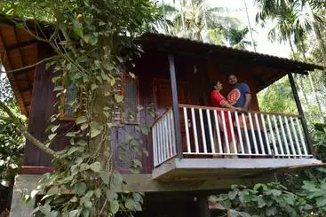 Little Home Resort