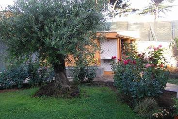 مبيت وإفطار Al Vecchio Olivo