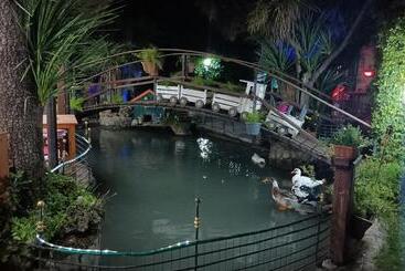 مبيت وإفطار Il Laghetto