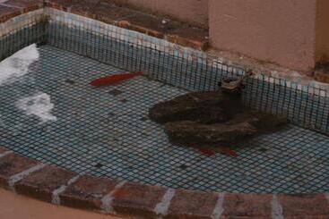 호텔 Albergo El Rancho