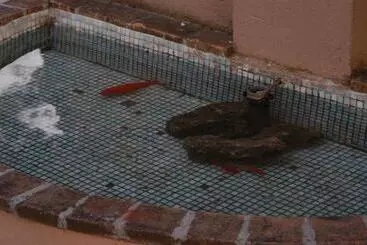 Hotel Albergo El Rancho