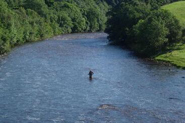 Wydon Farm Bed And Breakfast