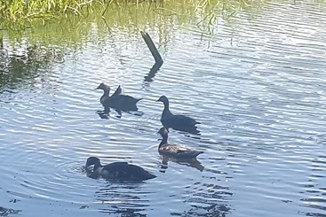 شقق خاصة سياحية La Casa Del Rio