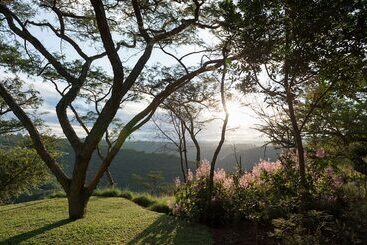 膳宿费 The Hilton Bush Lodge