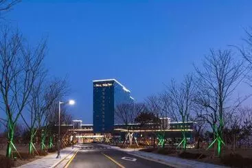 Hotel Tops 10