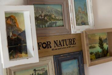 Schronisko Central Bled House