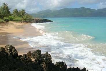 Hostel La Ballena Backpacker