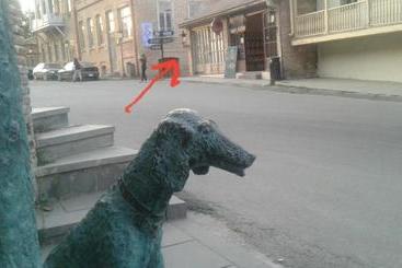 ユースホステル Sofya