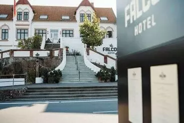 Hotel The Falcon