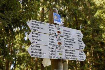 Elzland Hotel Pfauen Wellness & Spa