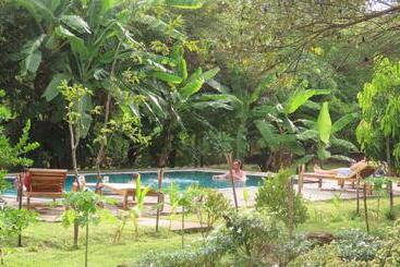 酒店 Into The Wild Sigiriya