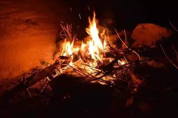 Petra Bedouin Bed And Breakfast