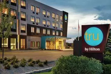 Hotelli Tru By Hilton Meridian Boise West Id