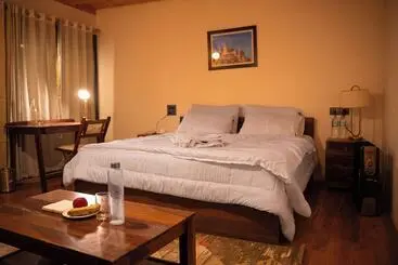 Hotel Saser Scenic Pangong