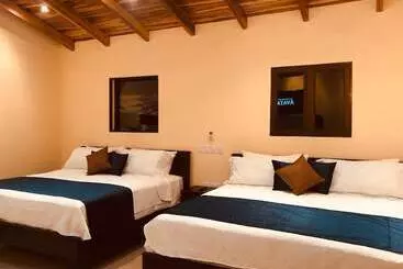 ユースホステル Millenium Manuel Antonio Park And Beach