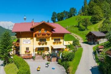 בית מלון כפרי Eisbacherhof