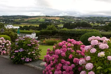 Bed and Breakfast Glencairn House