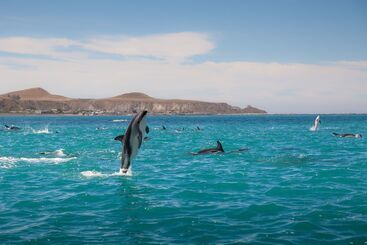 בית מלון כפרי The Factory