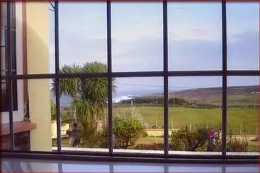 The Yellow Rose B&b
