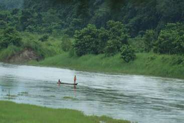 هتل Into The Wild Eco Resort