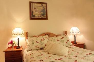 בית מלון כפרי Fferm Y Felin