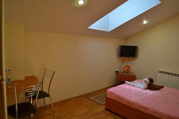 酒店 Medvedeff Center