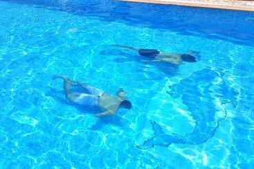 Bungalow White Apartments And Suites