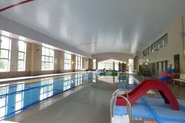 Romantopia, A Landscape Of Forest And Stars, The Swan, Hotel Of Stars