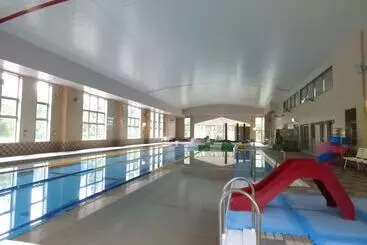 Romantopia, A Landscape Of Forest And Stars, The Swan, Hotel Of Stars