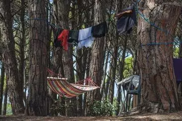 Hotel Camping Village Mare Pineta